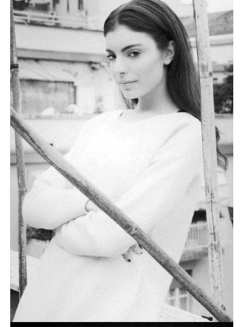 Model Picture