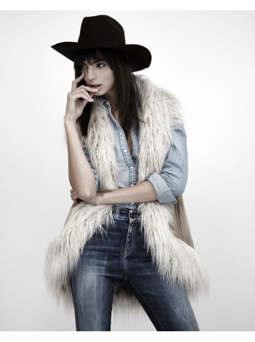 Model Picture