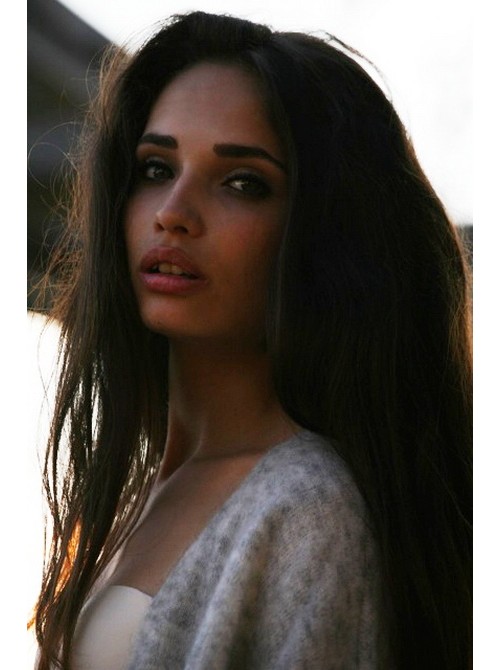 Model Picture
