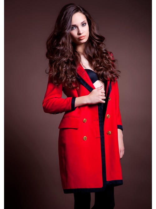 Model Picture