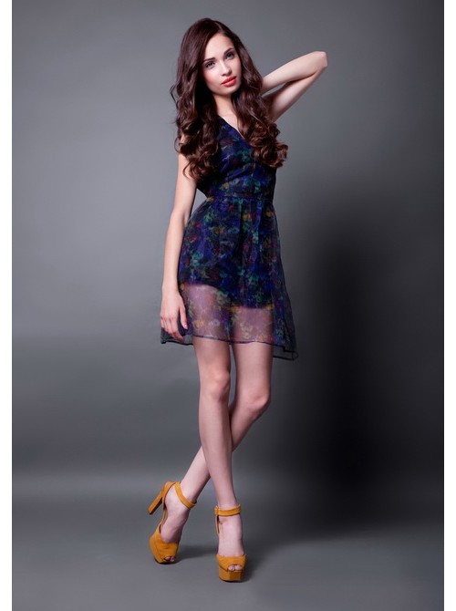 Model Picture