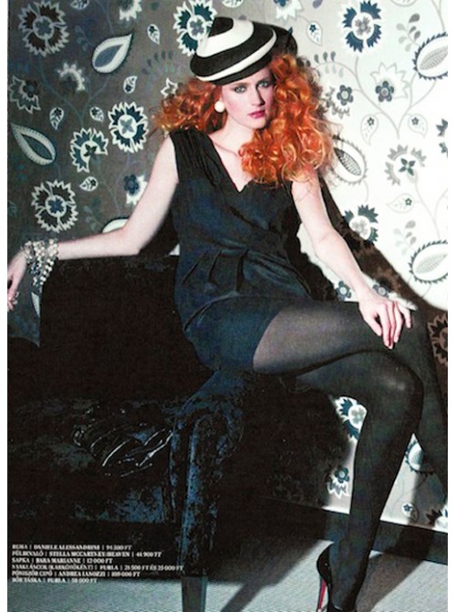 Model Picture