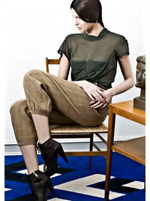Model Picture