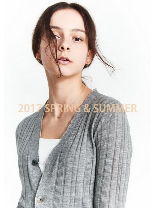 Model Picture