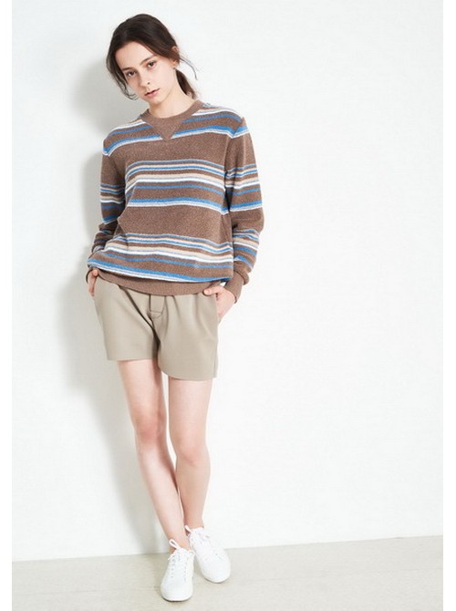 Model Picture