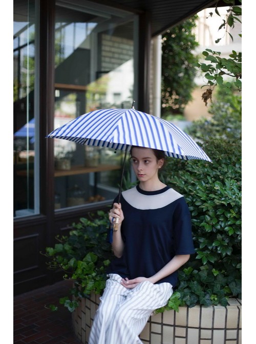 Model Picture