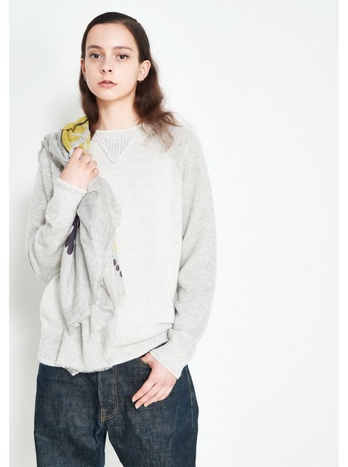 Model Picture
