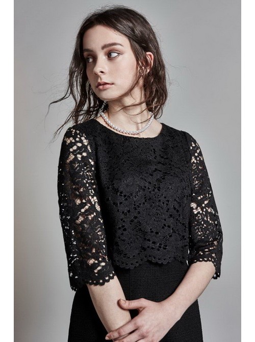 Model Picture
