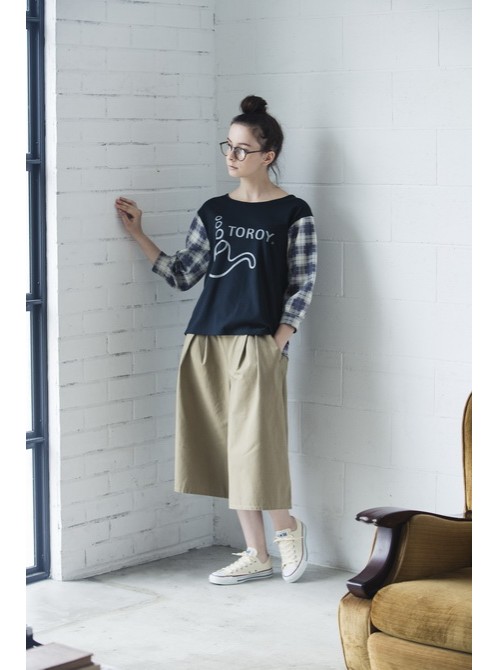 Model Picture