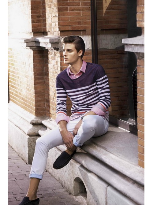 Model Picture