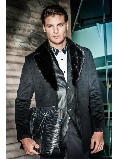 Model Picture
