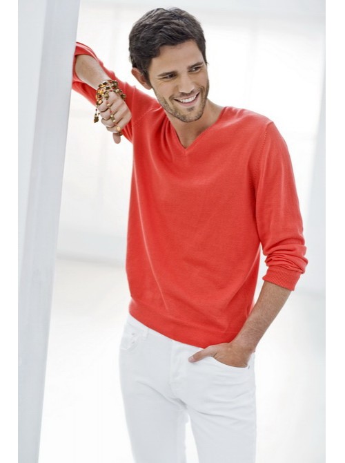Model Picture