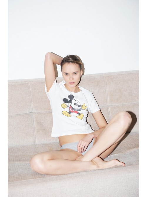 Model Picture
