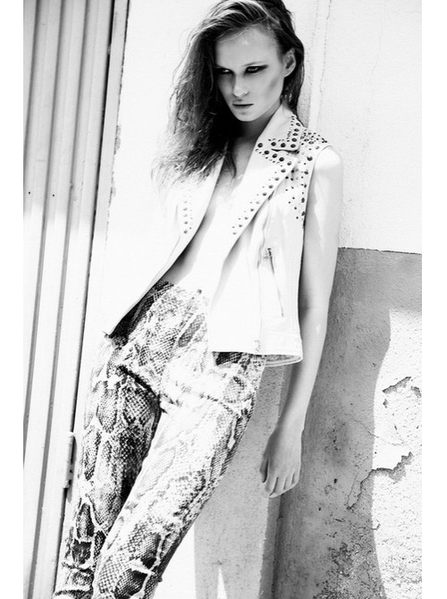 Model Picture