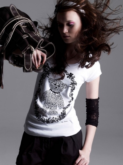 Model Picture