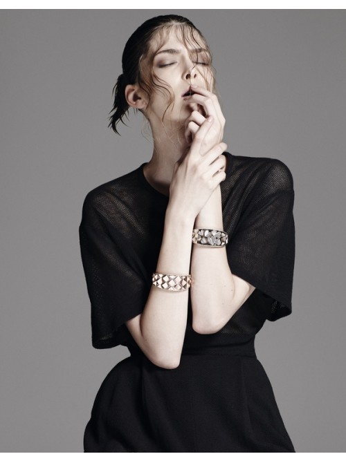 Model Picture