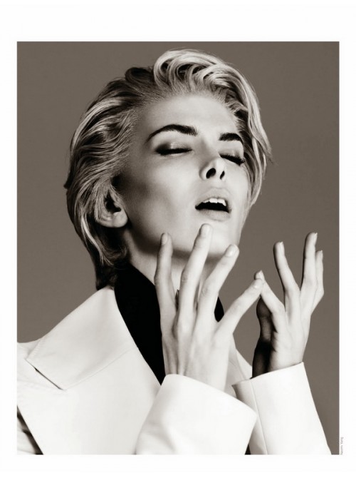 Model Picture