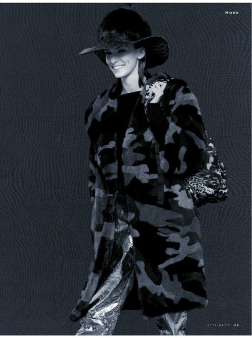 Model Picture