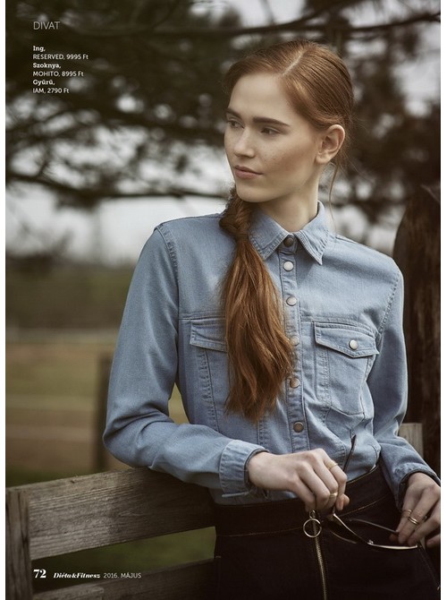 Model Picture