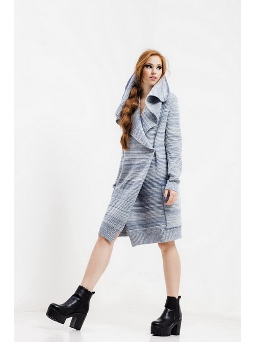 Model Picture