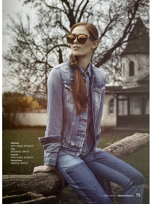 Model Picture