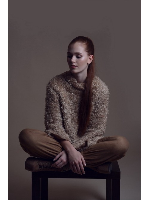 Model Picture
