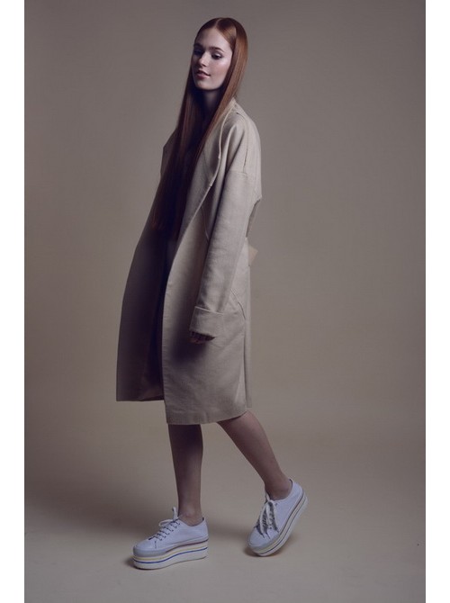 Model Picture
