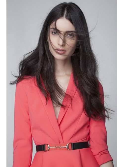 Model Picture