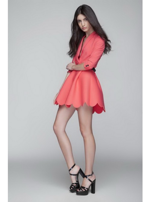 Model Picture