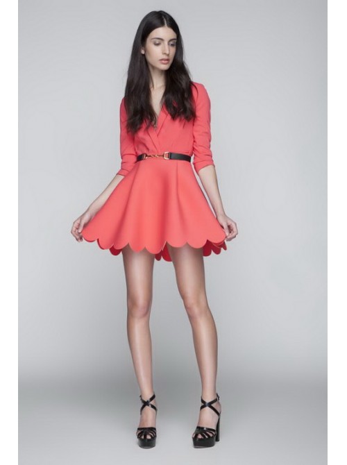 Model Picture