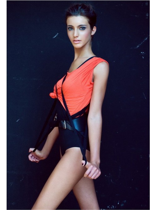 Model Picture