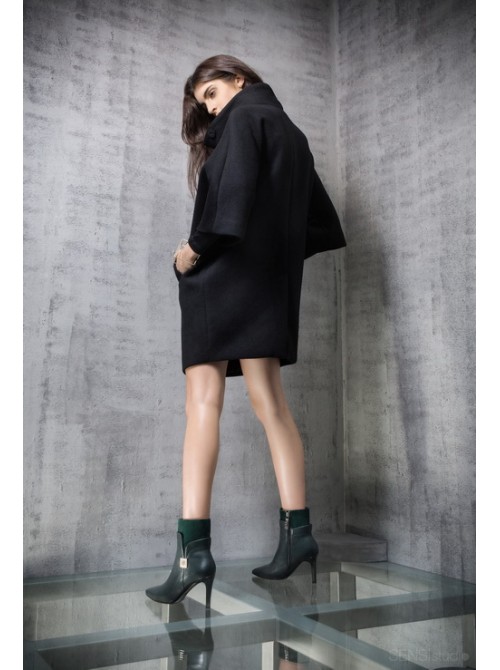 Model Picture