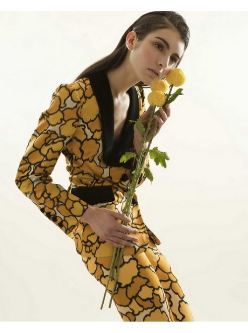 Model Picture