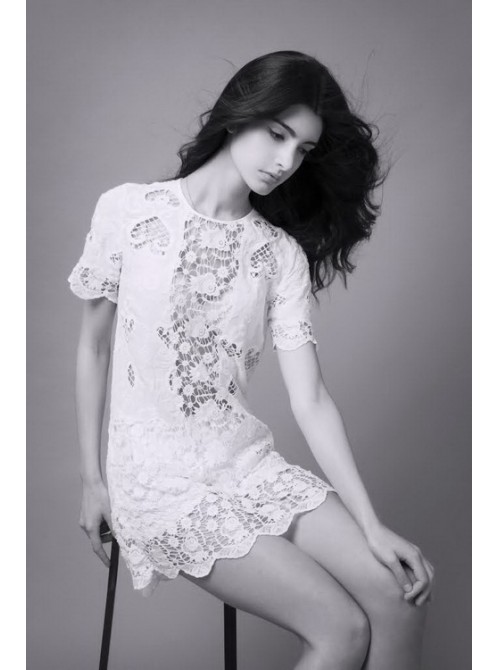Model Picture