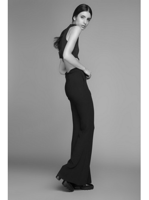 Model Picture