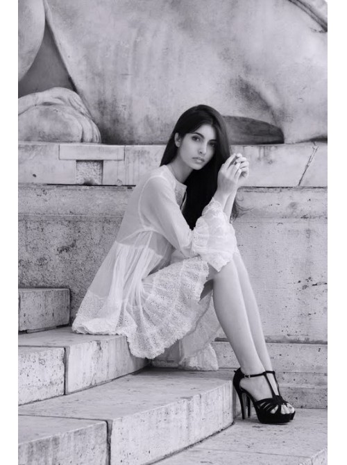 Model Picture