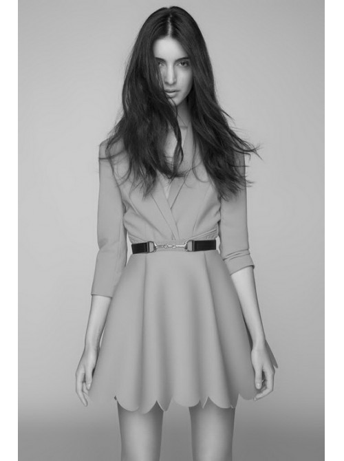 Model Picture