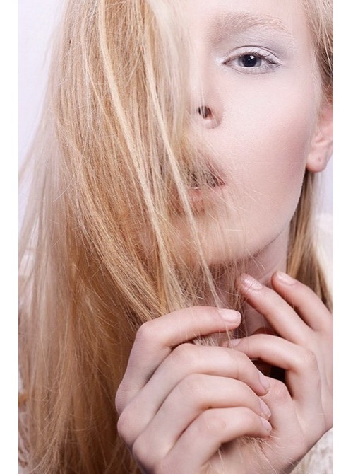 Model Picture