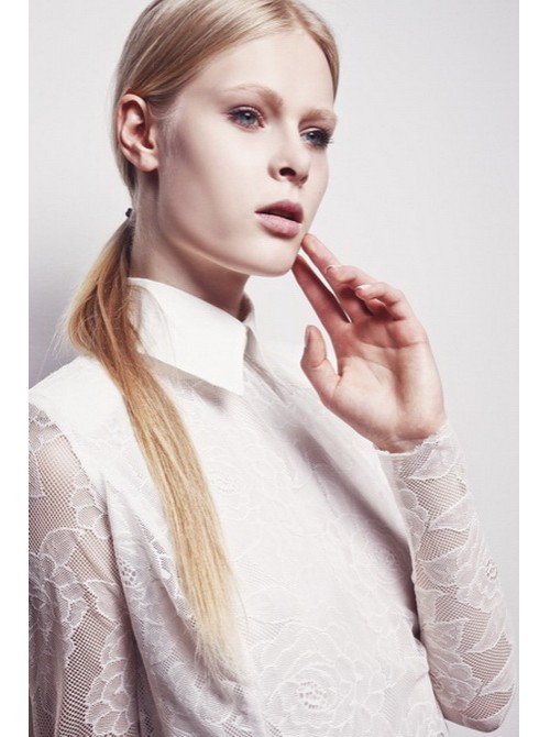 Model Picture