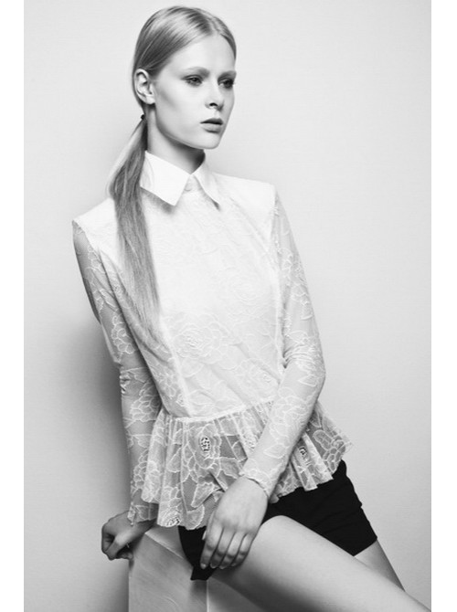 Model Picture