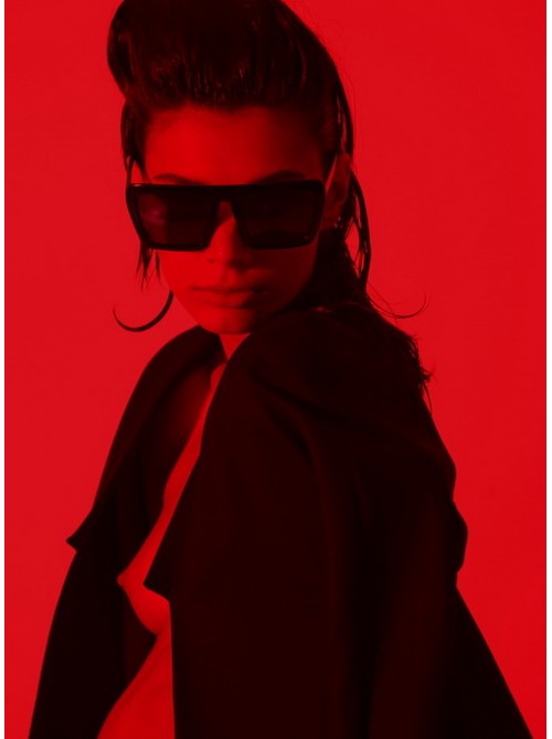 Model Picture