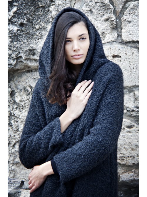Model Picture