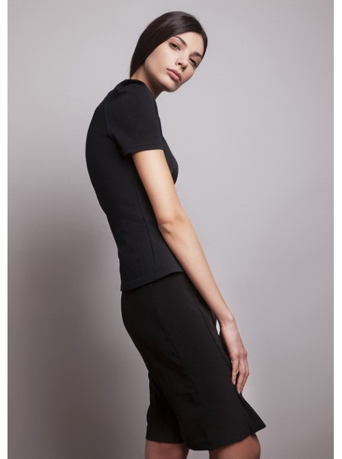 Model Picture