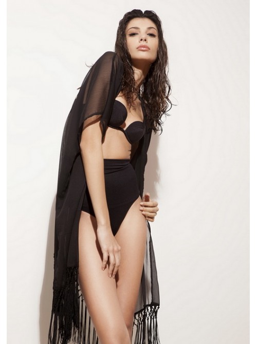 Model Picture