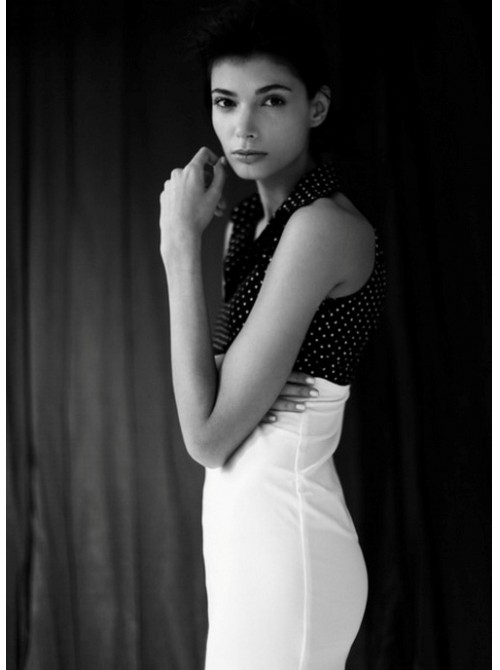 Model Picture