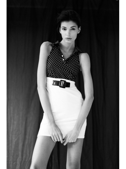 Model Picture