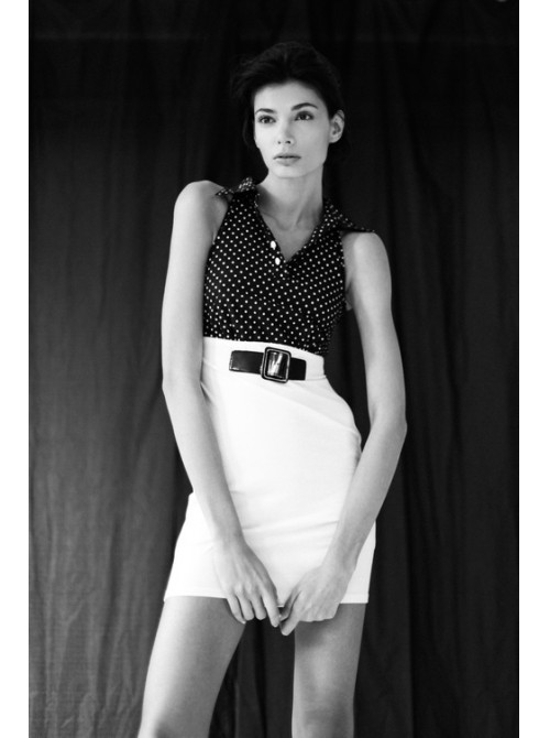 Model Picture