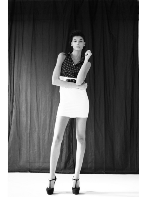 Model Picture