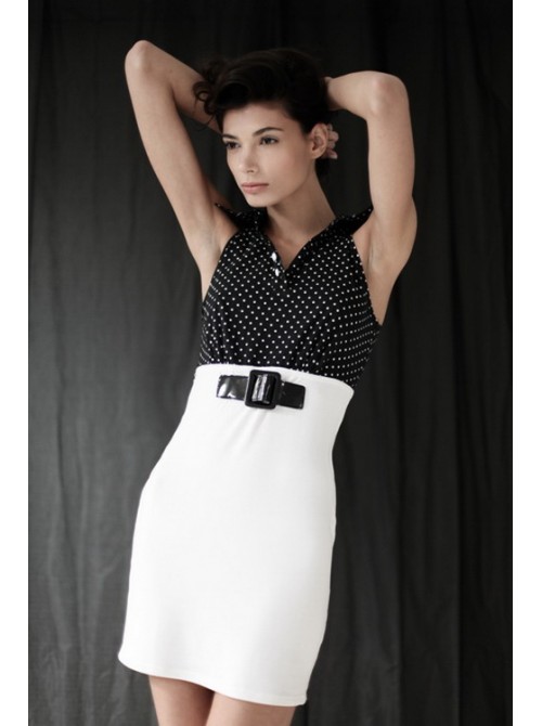 Model Picture