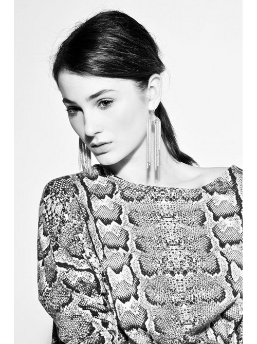 Model Picture